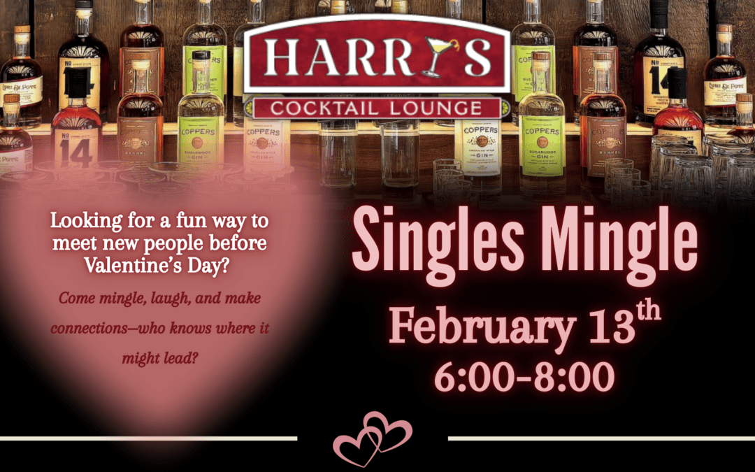 Single Mingle Night